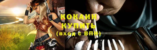 МДПВ Богородск
