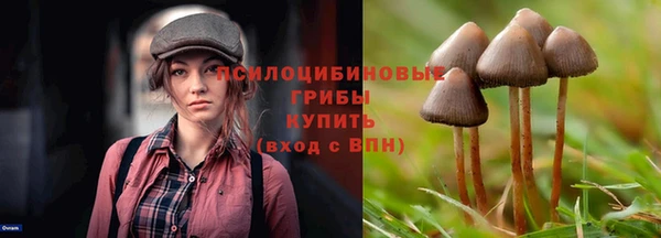 амф Богданович