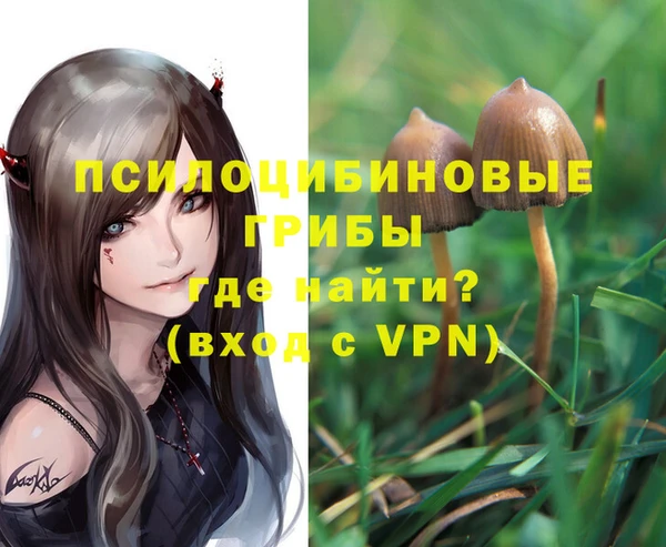 МДПВ Богородск
