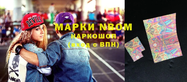 МДПВ Богородск