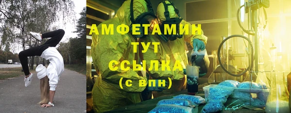МДПВ Богородск