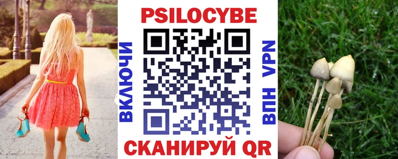 купить  сайты  Белинский  Галлюциногенные грибы Psilocybe 
